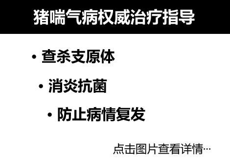 豬咳嗽喘氣權威治療方法